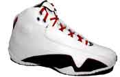 Nike Air Jordan XXI